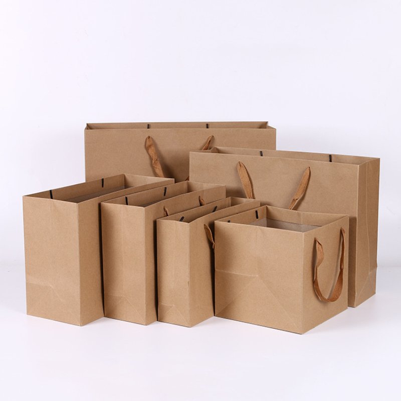 Custom Logo Printed Recycled White Coated Cardboard Paper Bag Underwear Supermarket Gift Shop Use Featuring Embossing Treatment