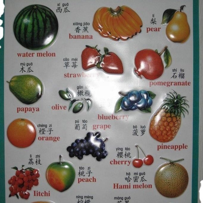 Wholesale Various Classroom Decorations Early Learning Charts Educational Talking Preschool Posters wall chart