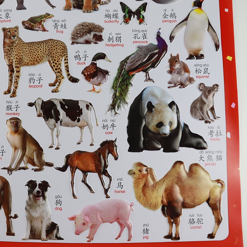 Wholesale Various Classroom Decorations Early Learning Charts Educational Talking Preschool Posters wall chart