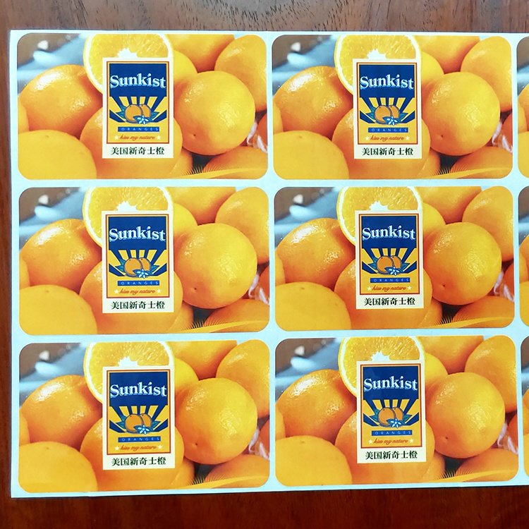 Popular box sticker with custom design printing