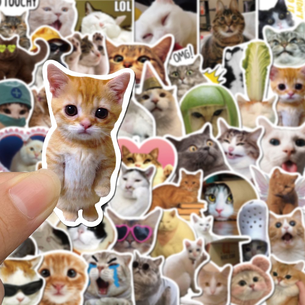 ZY3135S 50Pcs New Cute Cat Meme Scrapbook Graffiti DIY Stickers Decorative Cup Guitar Laptop Luggage Vinyl Waterproof Stickers
