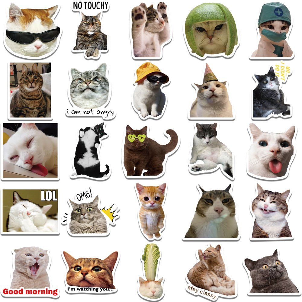 ZY3135S 50Pcs New Cute Cat Meme Scrapbook Graffiti DIY Stickers Decorative Cup Guitar Laptop Luggage Vinyl Waterproof Stickers