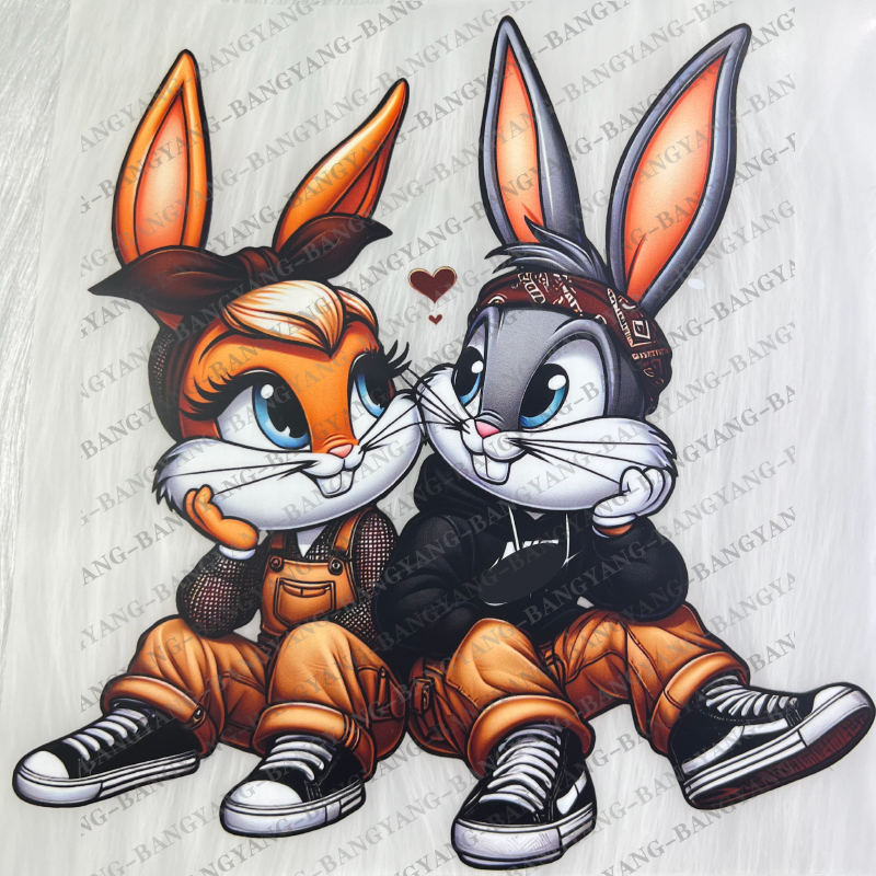 plastisol custom sticker for t shirt ready to press heat dtf transfer for t shirts clothes hoodies bags hats