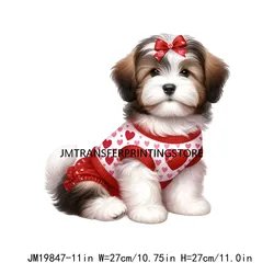JM19847-11in