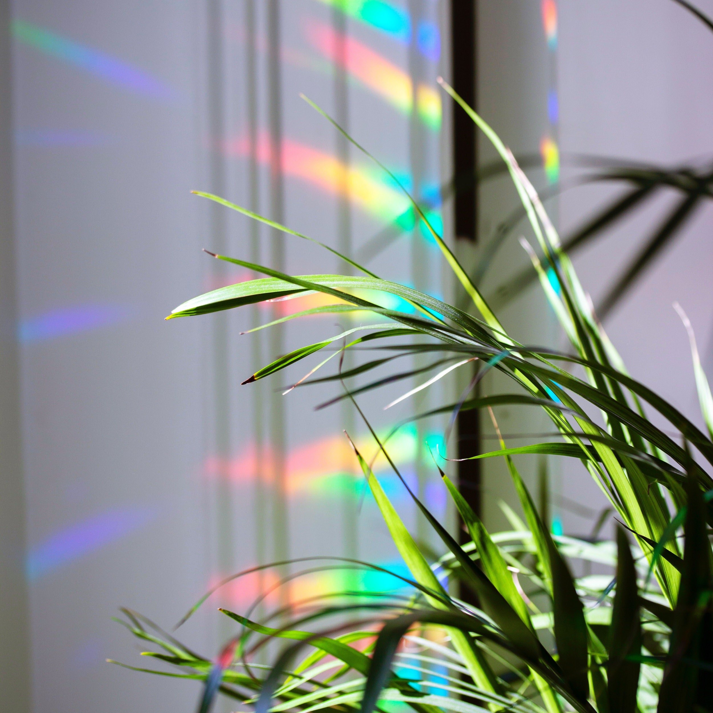 Suncatcher Stickers Gradient Rainbow Maker Holographic Adhesive Custom Design Sun Catcher Sticker for Window Decal Housewarming