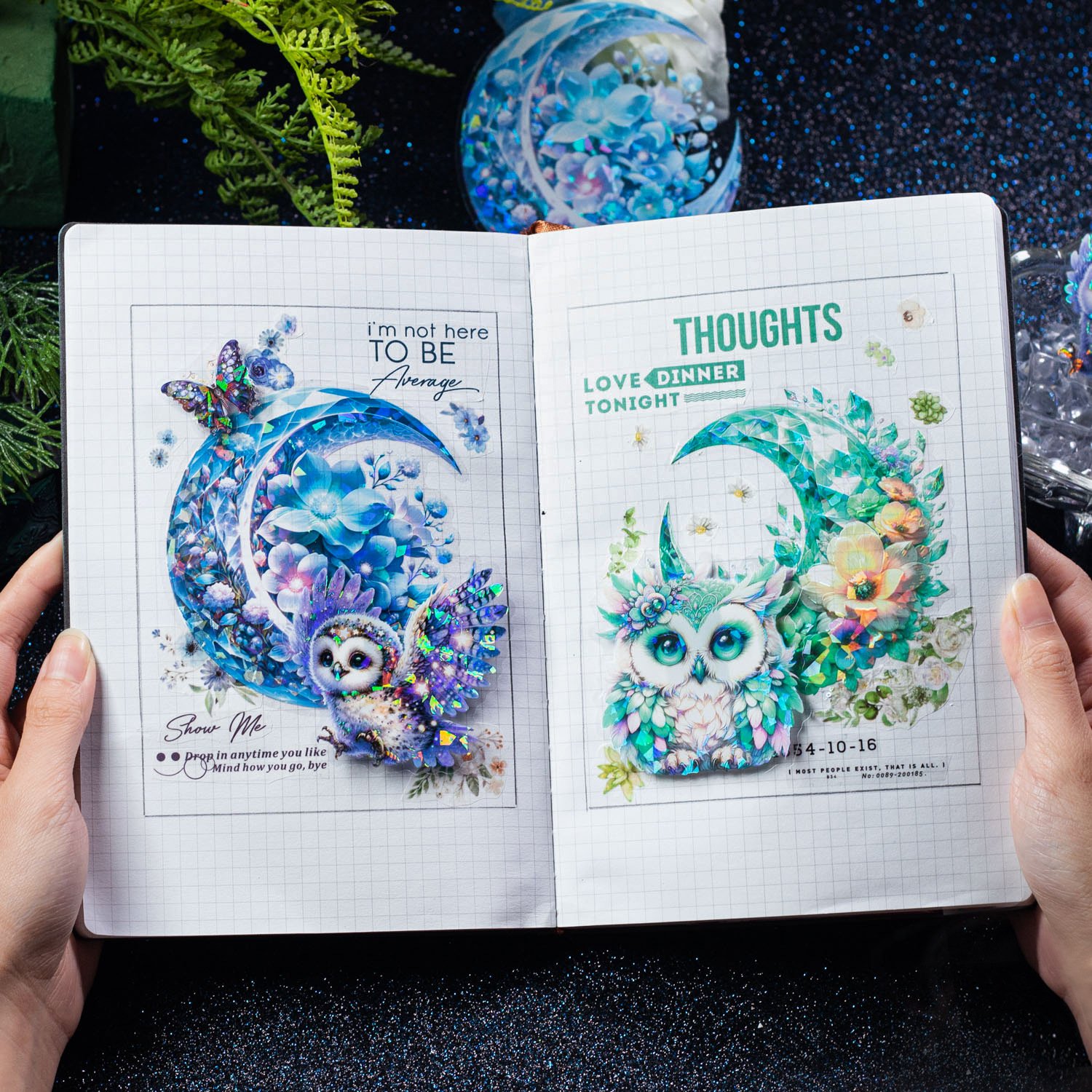 6 sheets/pack of PET stickers for the Moonlight Owl series Shell Light Hand Book DIY decorative stickers in 4 styles
