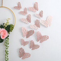 B-12PCS