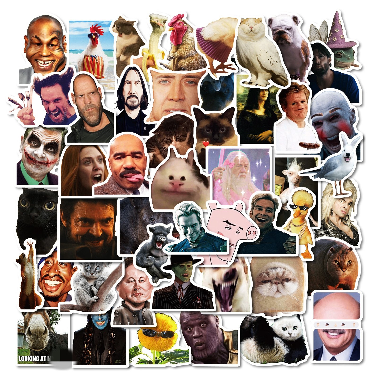 50PCS Creative famous person humorous expression funny meme sticker