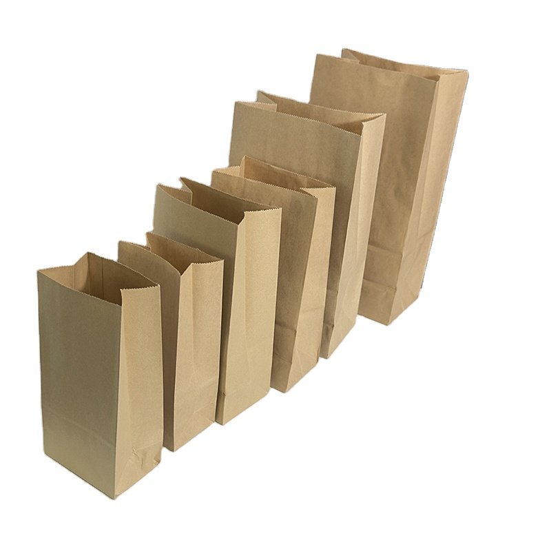 Biodegradable Brown Paper Bag Leaf Lawn Grass Garden Paper Bag Garbage Bags Kraft Paper B# Cheap Hot Sale Top Quality Customized