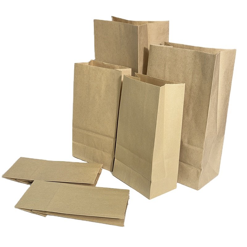 Biodegradable Brown Paper Bag Leaf Lawn Grass Garden Paper Bag Garbage Bags Kraft Paper B# Cheap Hot Sale Top Quality Customized