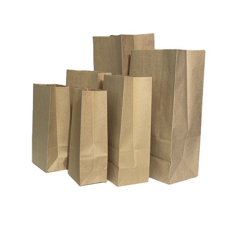 Biodegradable Brown Paper Bag Leaf Lawn Grass Garden Paper Bag Garbage Bags Kraft Paper B# Cheap Hot Sale Top Quality Customized