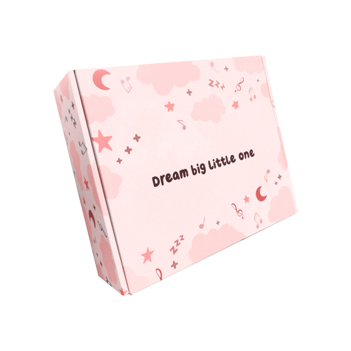 Factory Price Custom Logo Cardboard Box Packaging for Online store 0427 Airplane Gift Box Packaging Mailer Shipping Box