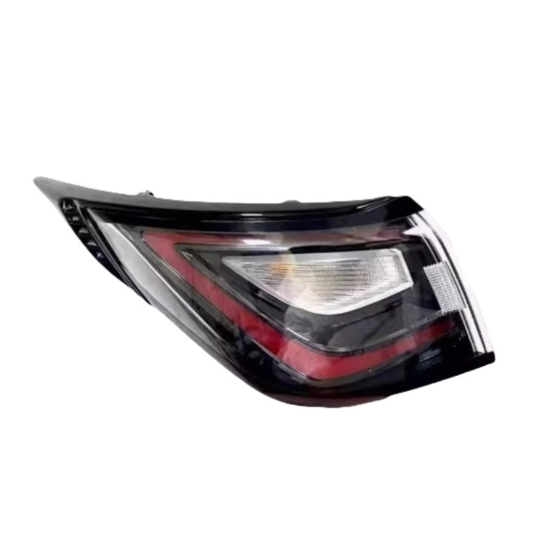 Tail Lamp Tail Lights Turn Signal Warning Brake Lamp set for BYD Dolphin