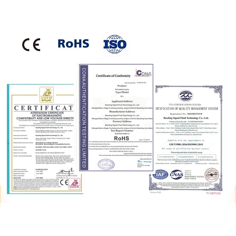 Professional Manufacture Chlorine Dioxide Generator Laundry Dosing Pump Detergent Peristaltic Pumps