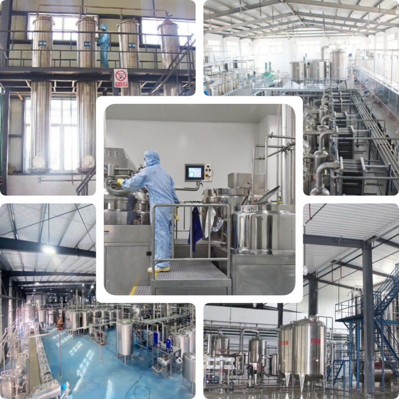 Factory bulk price plant extract grape seed extract organic grape seed extract for sale OPC 95% Proanthocyanidins