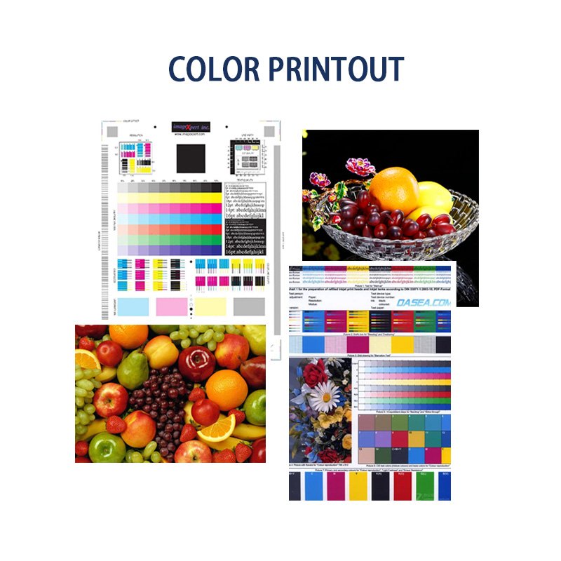 TN619 Bizhub C1060 C1070 C2060 C2070 C3070 C3080 Toner Original toner US version for Konica Minolta TN 619 Price negotiable