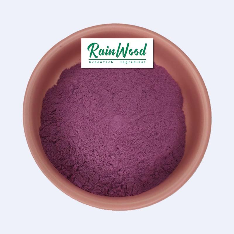 2023 free sample 100% natural grape fuit powder grape juice powder grape concentrate powder for beverage with best taste