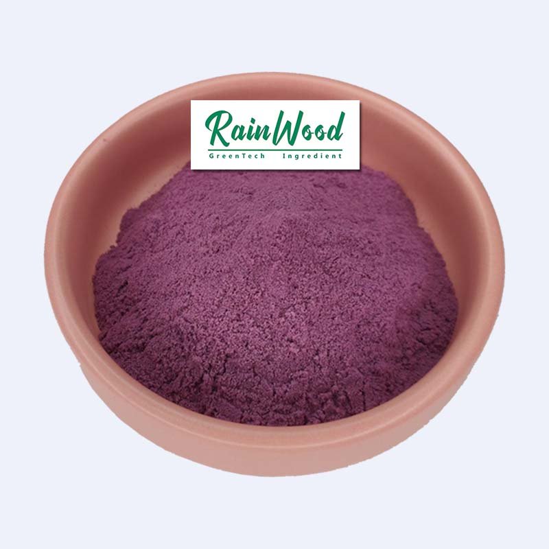 2023 free sample 100% natural grape fuit powder grape juice powder grape concentrate powder for beverage with best taste