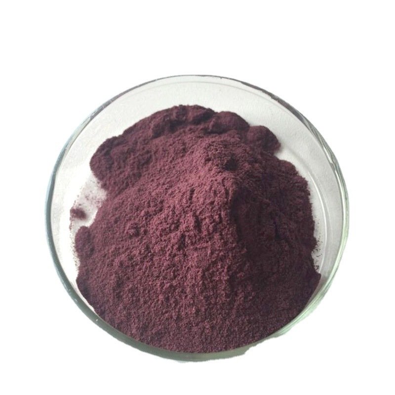 Factory OEM &ODM Wholesale Grape seed extract OPC 95% Grape seed extract grape seed polyphenol Proanthocyanidin