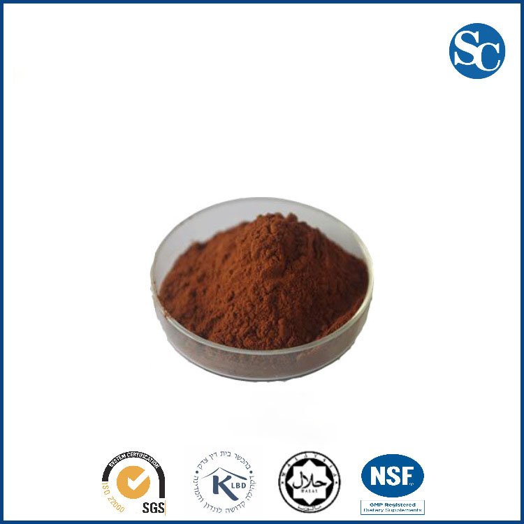 Factory OEM &ODM Wholesale Grape seed extract OPC 95% Grape seed extract grape seed polyphenol Proanthocyanidin
