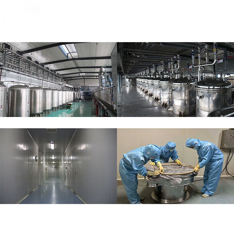 Factory OEM &ODM Wholesale Grape seed extract OPC 95% Grape seed extract grape seed polyphenol Proanthocyanidin