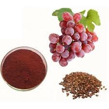 Grape Fruit Extract 100% Natural Grape Juice Powder Grape Fruit Powder for Beverage