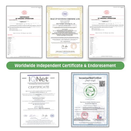 Foresight Biote Pine Bark Extract PYC 98% High Quality Natural Organic Pine Bark Extract
