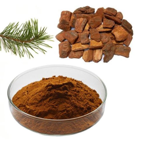 Foresight Biote Pine Bark Extract PYC 98% High Quality Natural Organic Pine Bark Extract