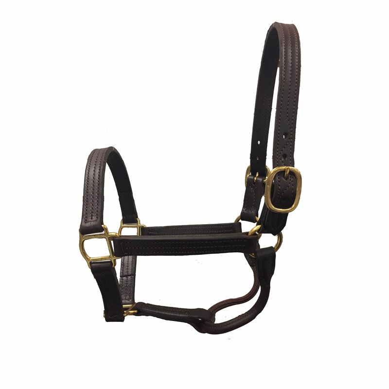 Horse Leather Halter With Name Plates.