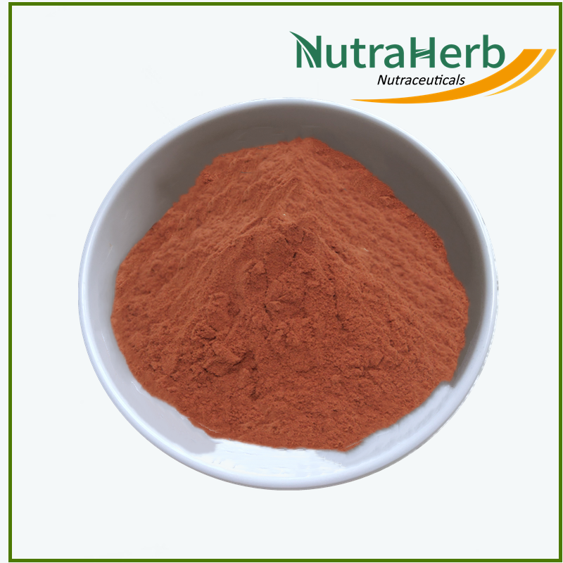 Best Quality Organic Certificate Grape Seed Extract Powder OPC 95% in bulk with new stock
