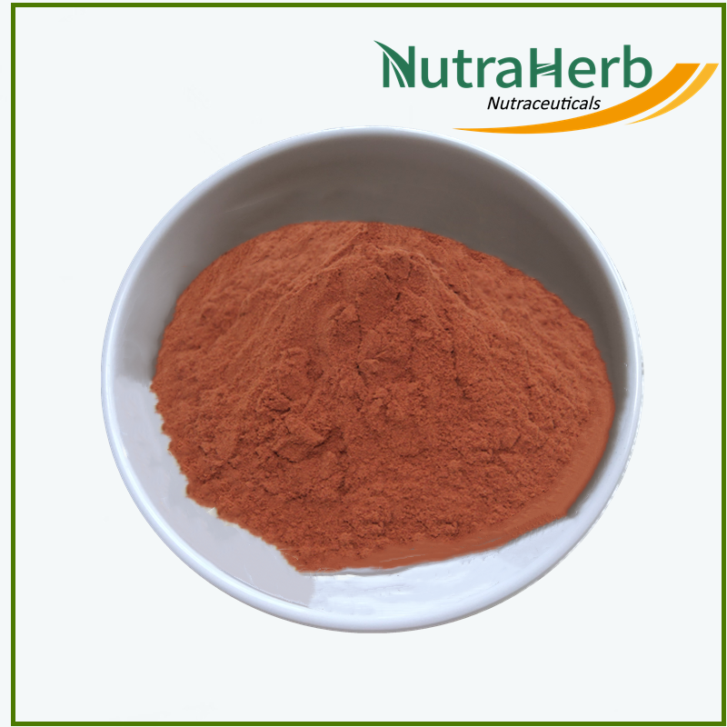 Best Quality Organic Certificate Grape Seed Extract Powder OPC 95% in bulk with new stock