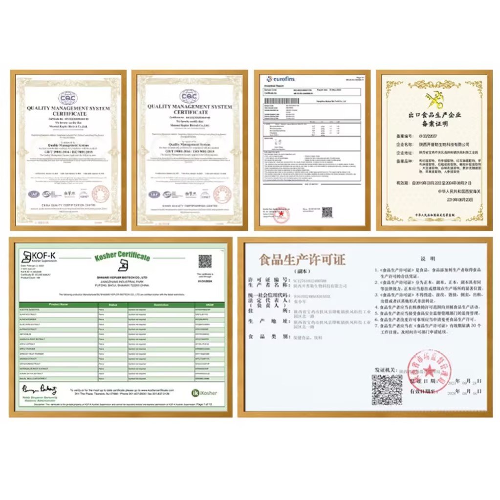 Bulk Price Supplement Pine Bark Extract Powder 95%Proanthocyanidins OPC