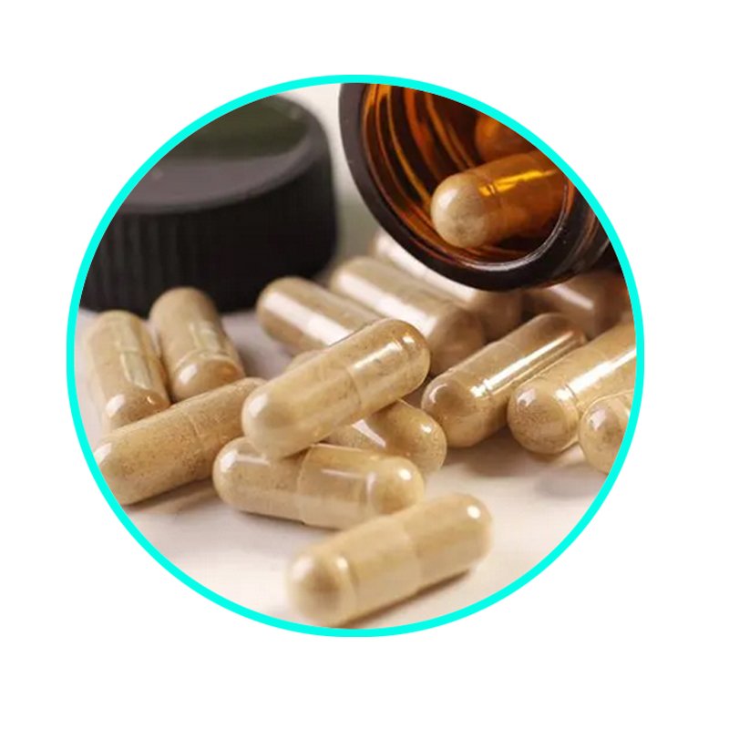 natural french maritime pine bark extract Proantocyanidins(OPC) 95% Pinus pinaster