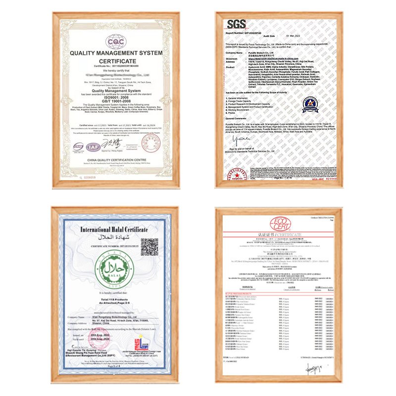 Purelife Grape Seed Extract High Quality Pure Natural Ogranic 95% OPC Grapeseed Polyphenol Grape Seed Extract Powder