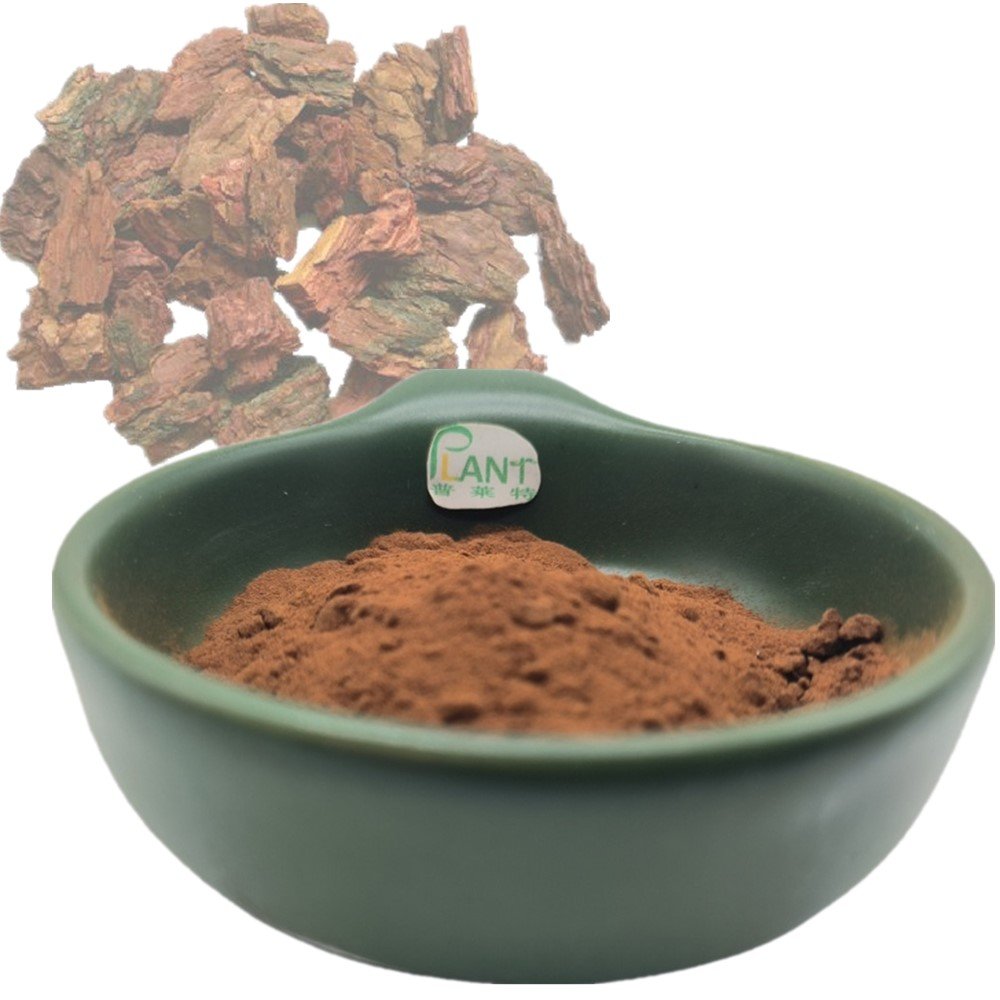 Natural organic french maritime pine bark extract powder proanthocyanidins 95%