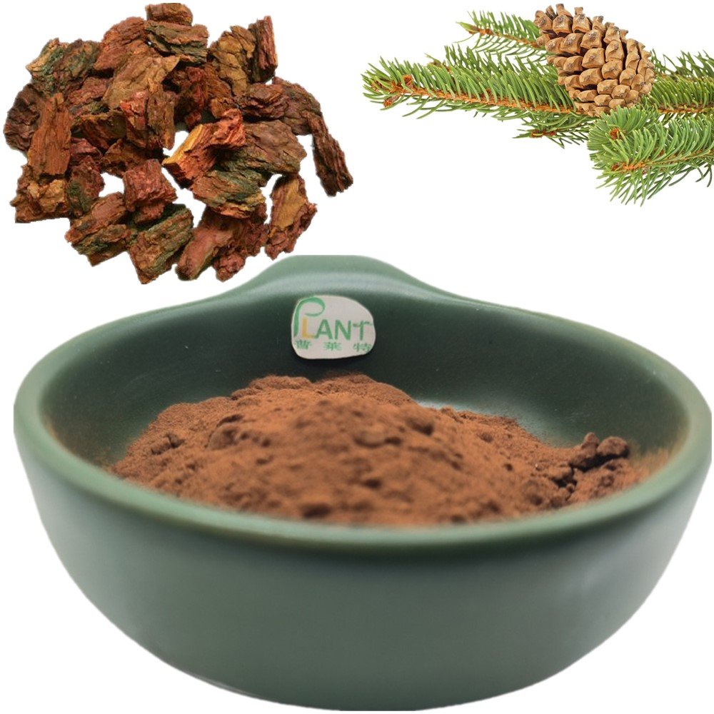 Natural organic french maritime pine bark extract powder proanthocyanidins 95%