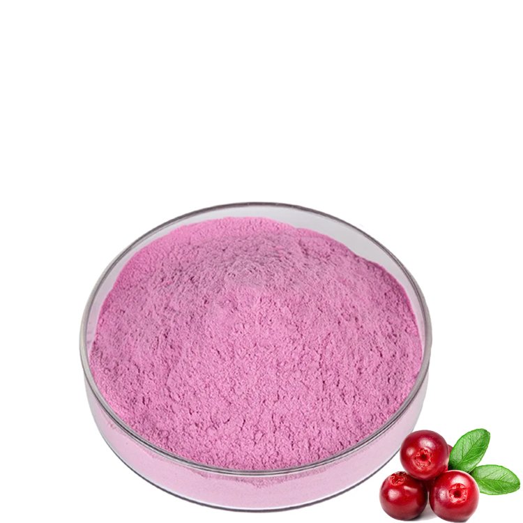 Factory Wholesale Cranberry Fruit Extract OPC Proanthocyanidins Procyanidin 10% Cranberry Extract Powder