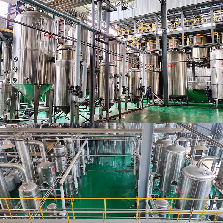 Factory Wholesale Cranberry Fruit Extract OPC Proanthocyanidins Procyanidin 10% Cranberry Extract Powder