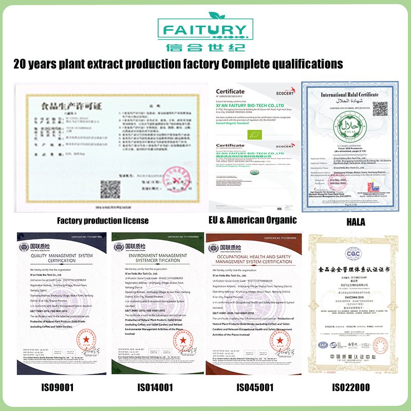 Factory Wholesale Cranberry Fruit Extract OPC Proanthocyanidins Procyanidin 10% Cranberry Extract Powder