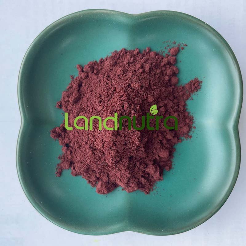 High Quality Grape Seed Extract 95% Proanthocyanidin Powder Grape Seed Extract Powder