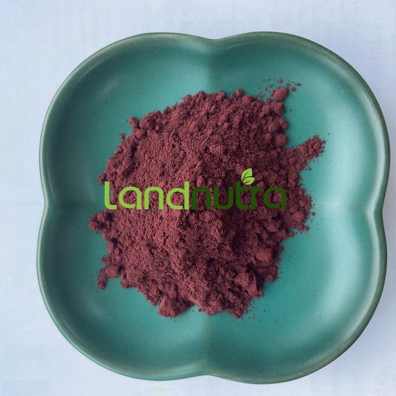 High Quality Grape Seed Extract 95% Proanthocyanidin Powder Grape Seed Extract Powder