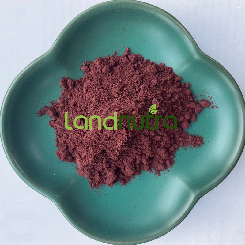 High Quality Grape Seed Extract 95% Proanthocyanidin Powder Grape Seed Extract Powder