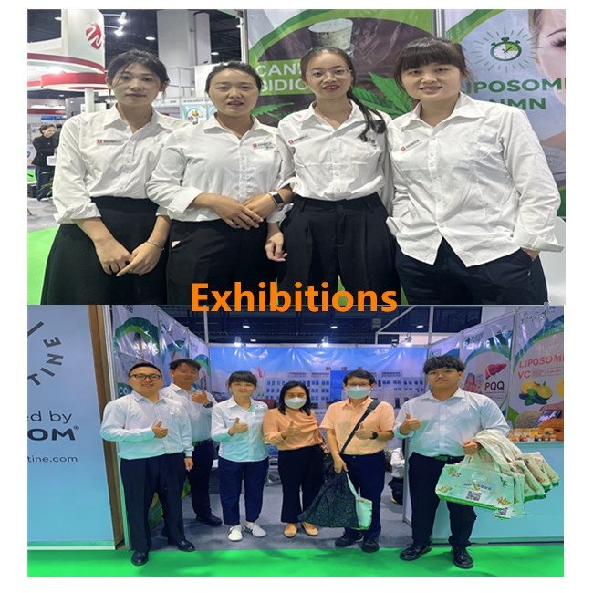 High Quality Grape Seed Extract 95% Proanthocyanidin Powder Grape Seed Extract Powder