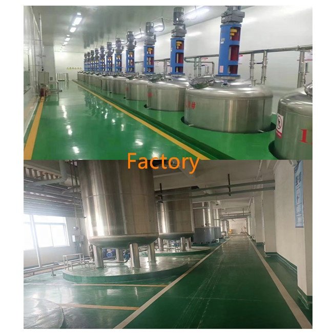High Quality Grape Seed Extract 95% Proanthocyanidin Powder Grape Seed Extract Powder