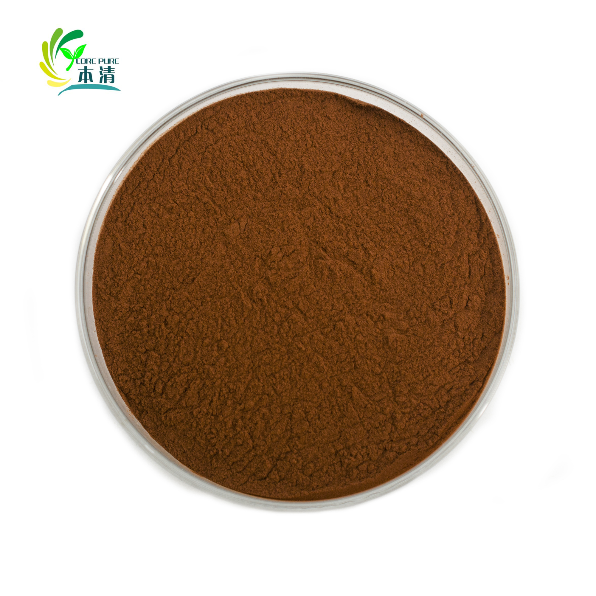 Supply natural grape seed extract 95% OPC grape seed extract powder