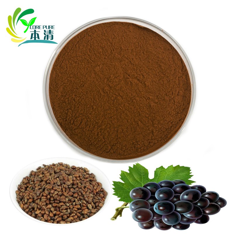 Supply natural grape seed extract 95% OPC grape seed extract powder