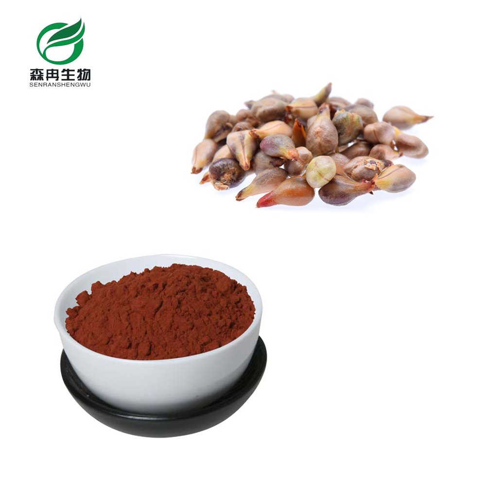 Best Price grape seed powder organic OPC 95% Grape seed extract