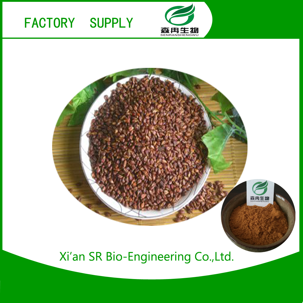 Best Price grape seed powder organic OPC 95% Grape seed extract