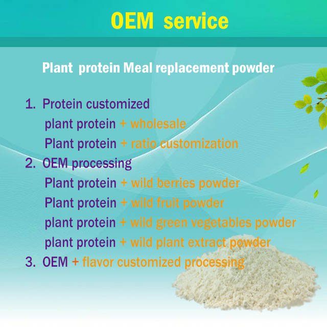 Maritime pine extract Pinus pinaster extract powder OPC 95% pine bark extract