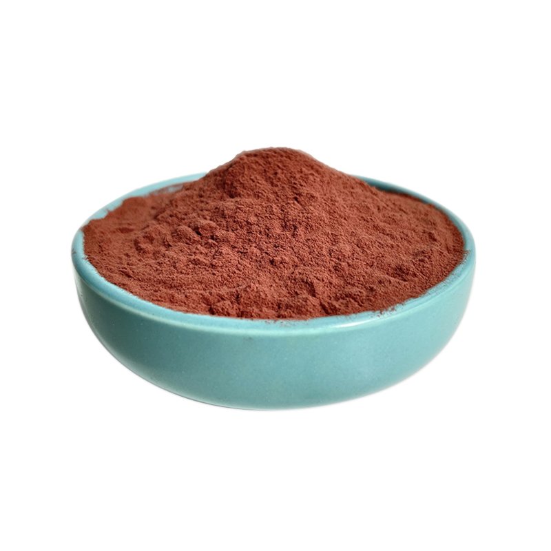 Bulk Grape Seed Extract 95% OPC Anthocyanin Organic Grape Seed Powder